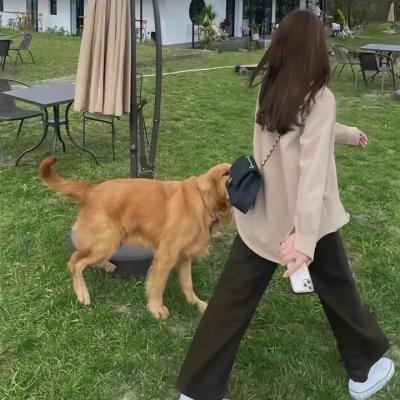 开始推理吧第二季